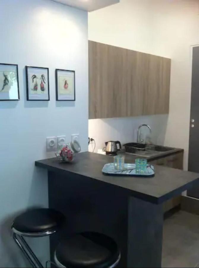 Le Petit Domer -metro Garibaldi-universite Apartment